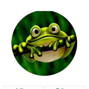 Meet your Posher, Rachel